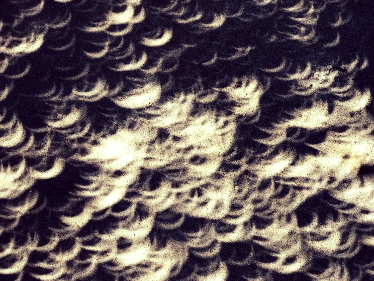 Solar eclipse, 2024